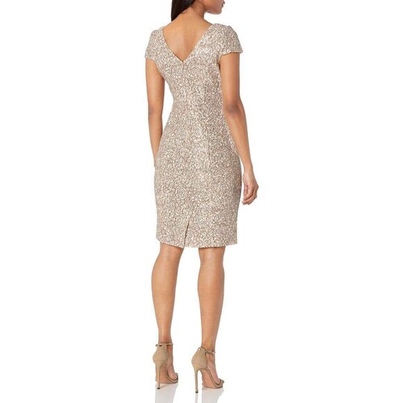 Women's Short Shift Knee Length V Neck Dress (Petite & Regular) 14 Petite Champ - Picture 2 of 4